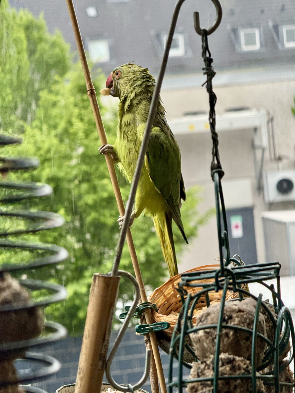 Bild/Foto