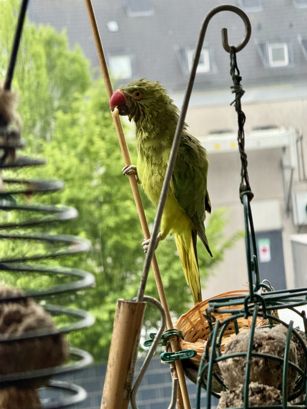 Bild/Foto