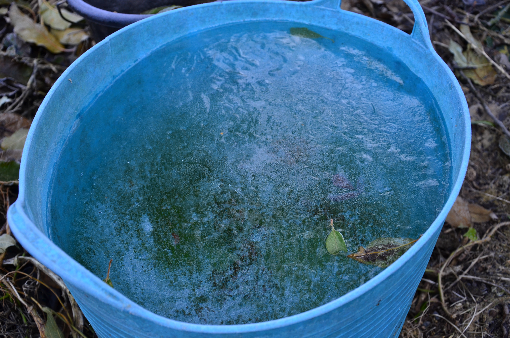 Solid ice in a bucket