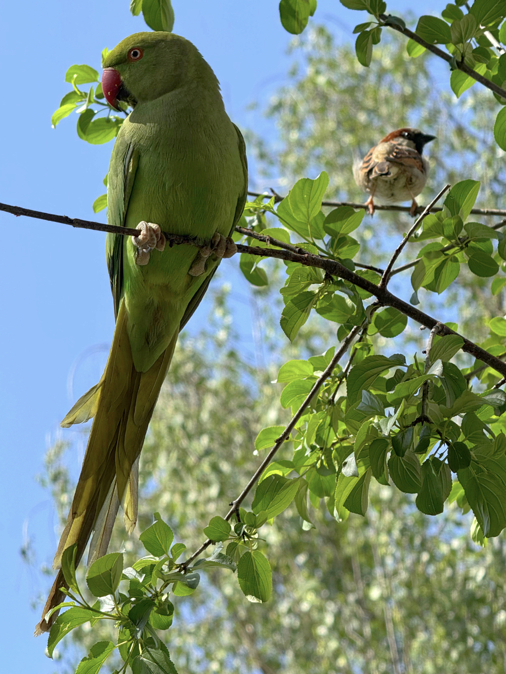 Bild/Foto