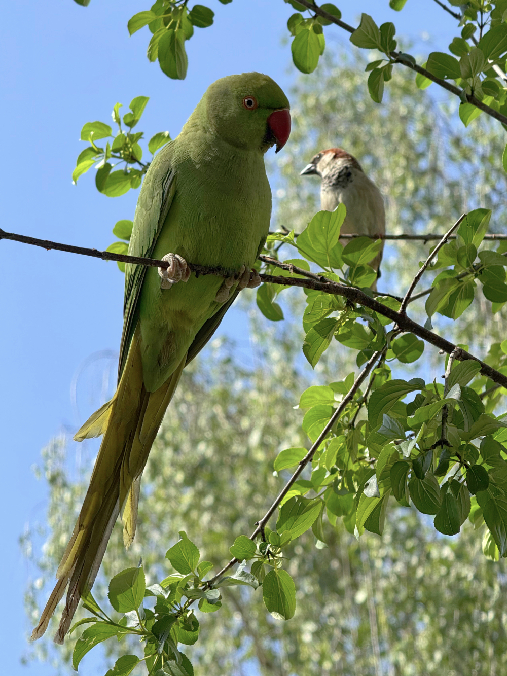Bild/Foto