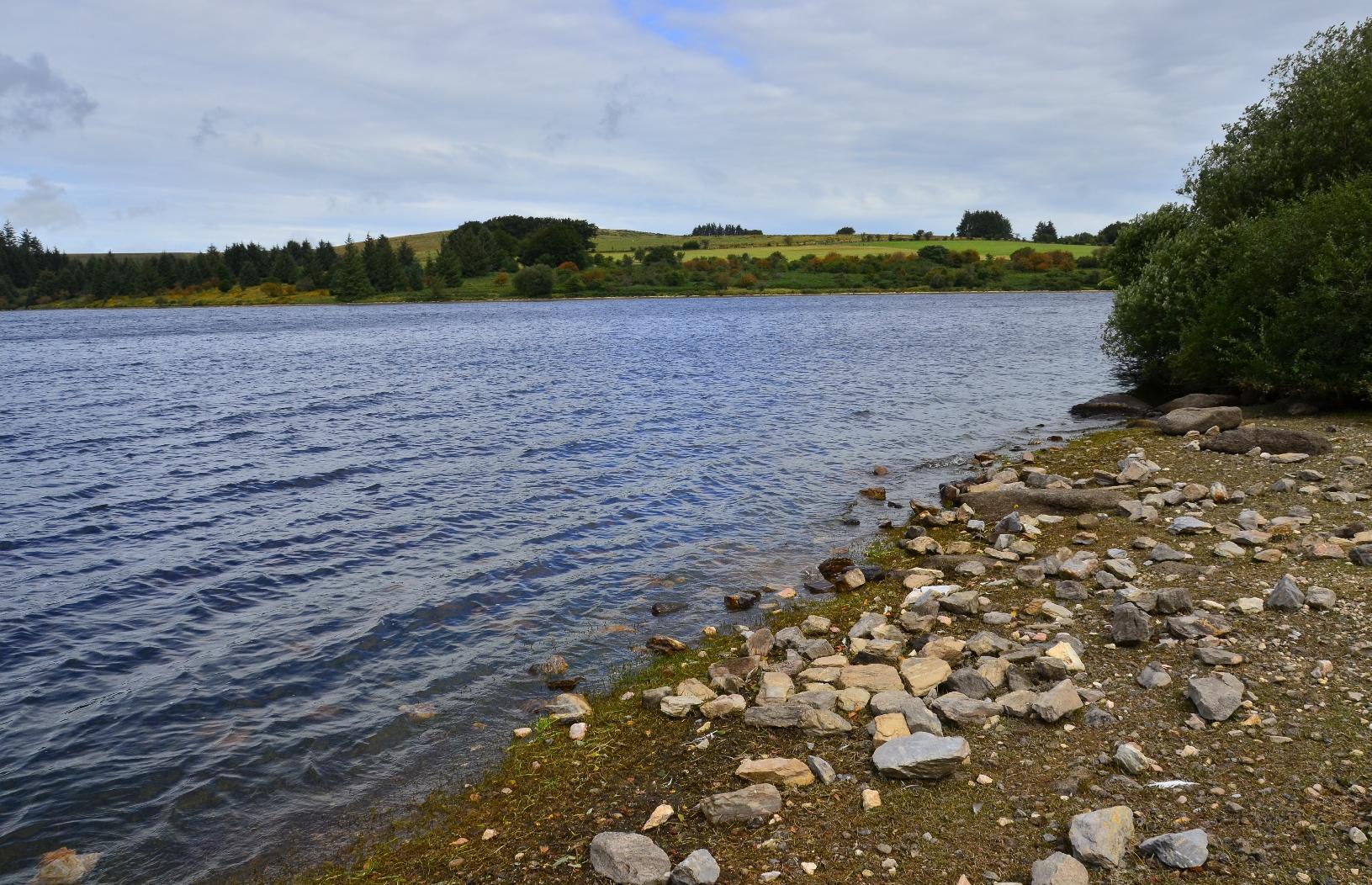 Shore of Fernworthy Reservoir