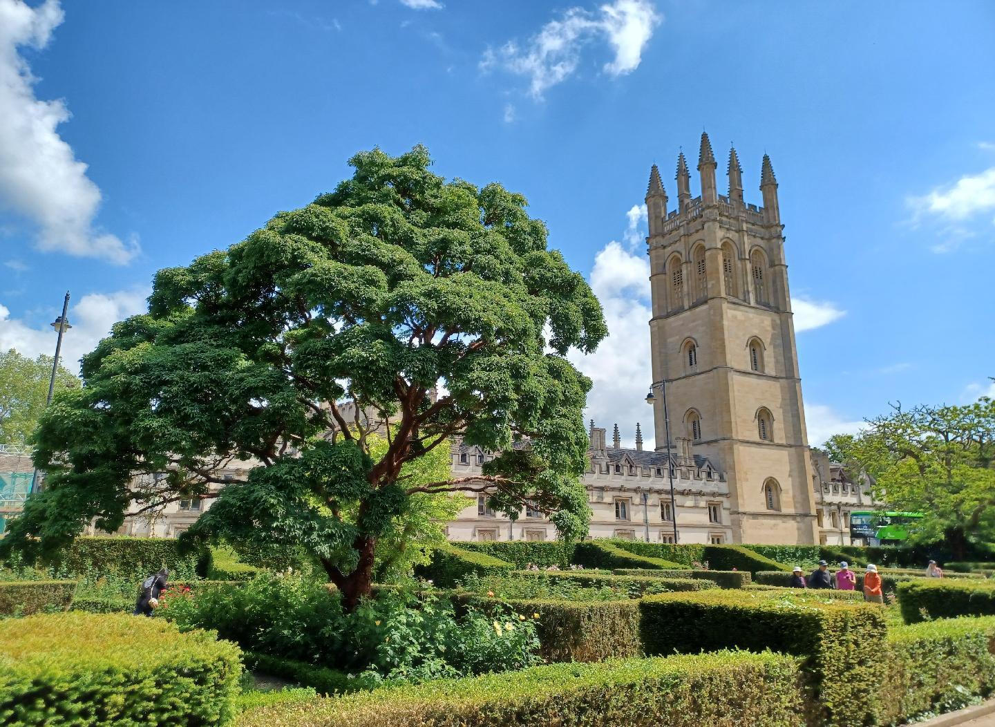 Church tower behind some gardens