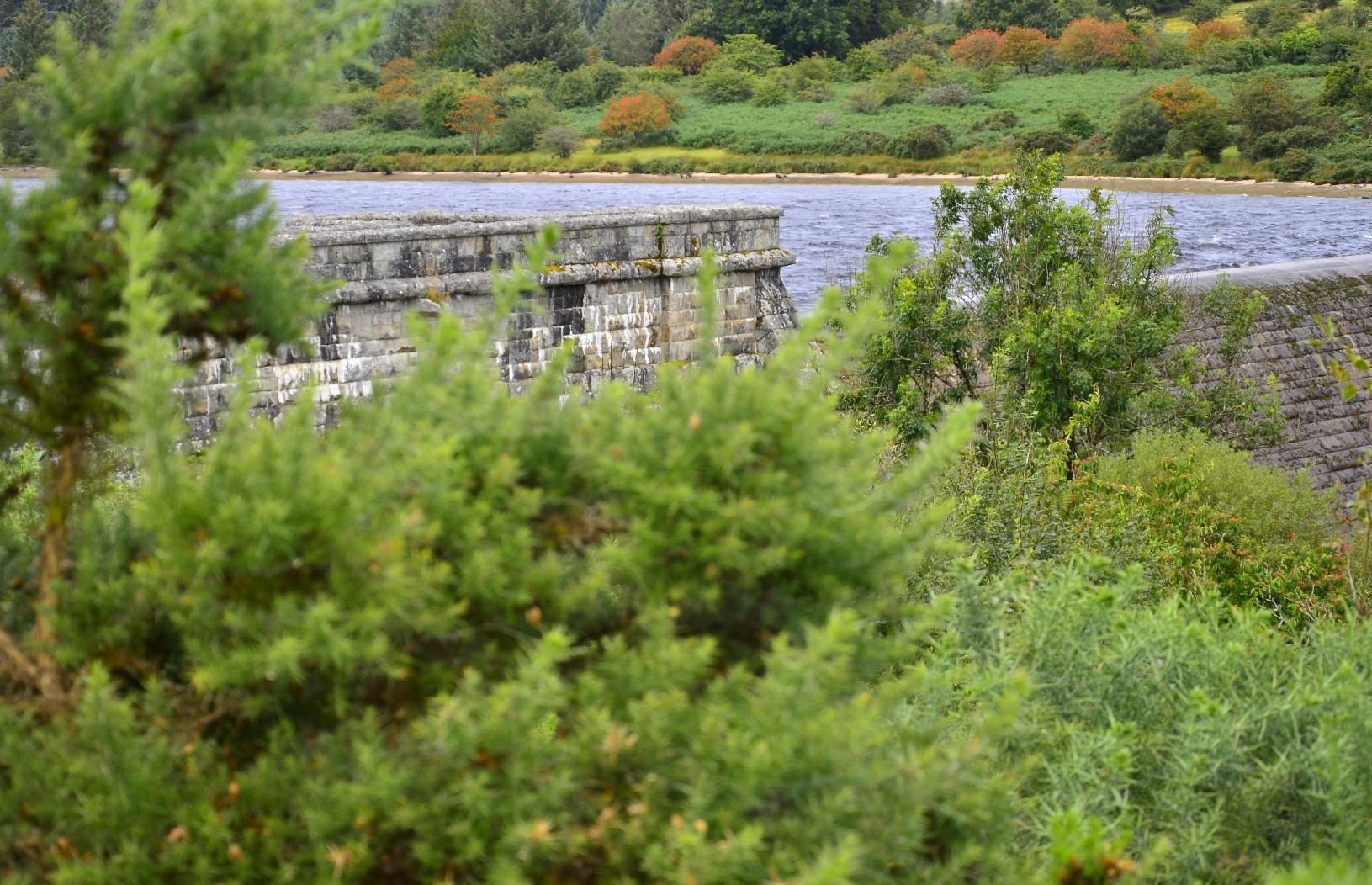 Detail of masonry dam