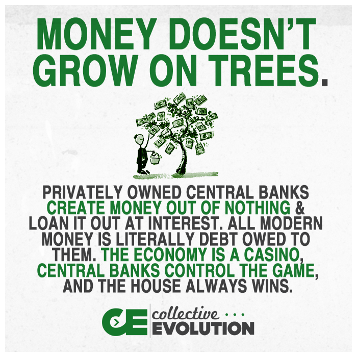 Nobara doesn t have any money. Money doesn't grow on Trees. Meme if money grow on Trees why Banks have Branches.