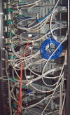 Bild/Foto