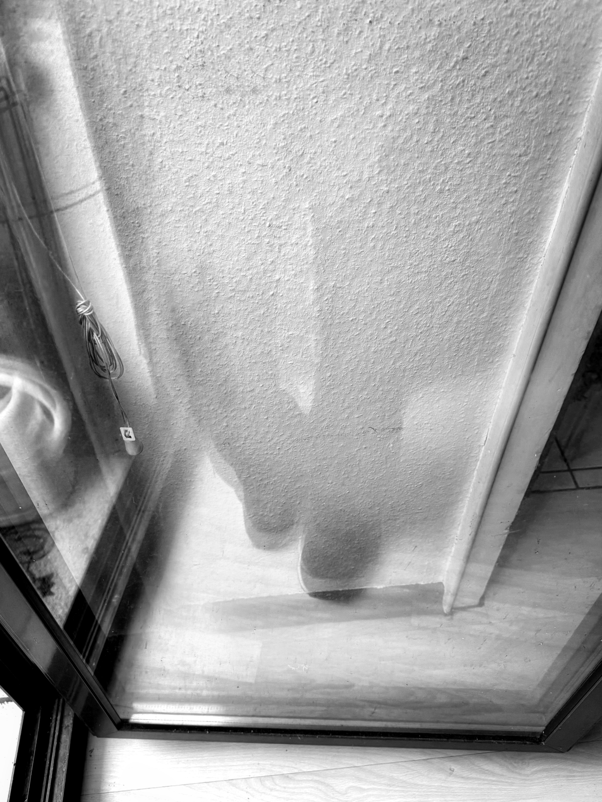 Bild/Foto