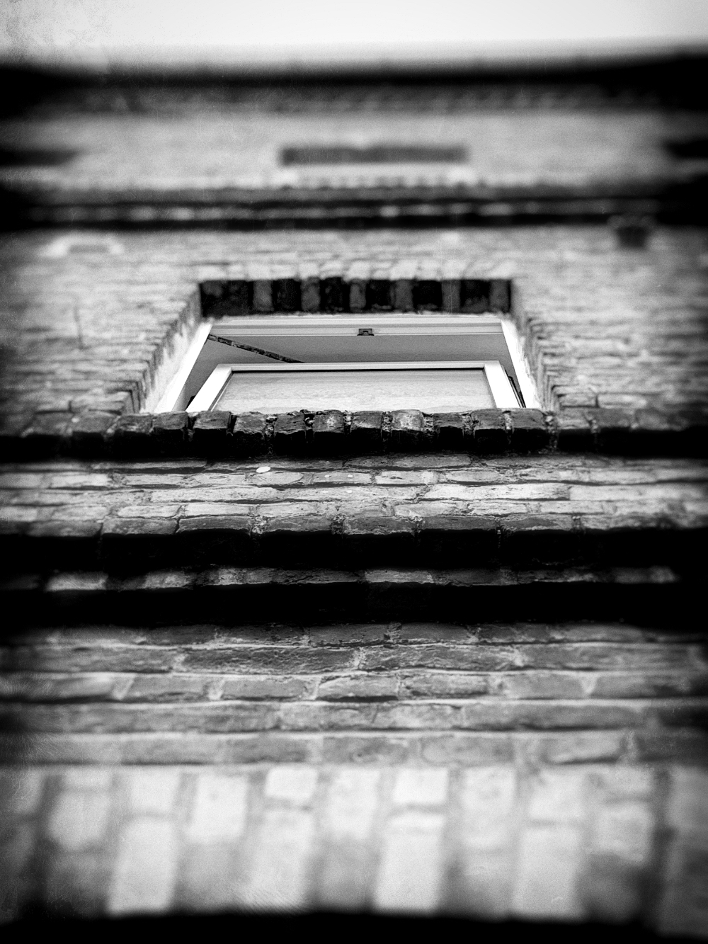 Image/photo