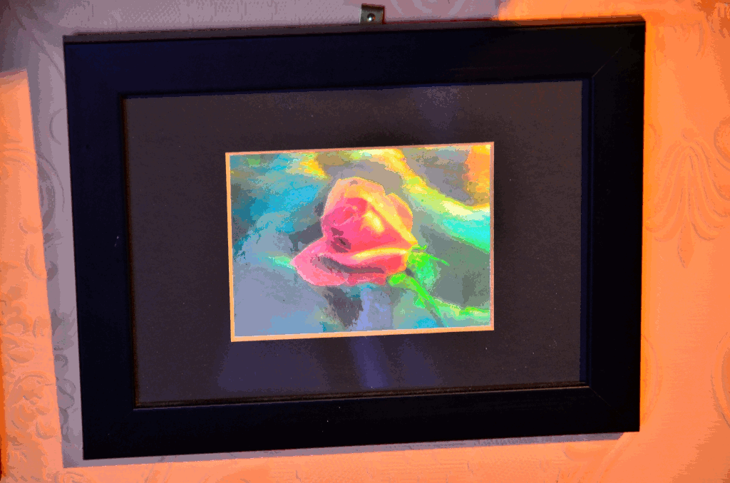 Hologram of a flowering rose