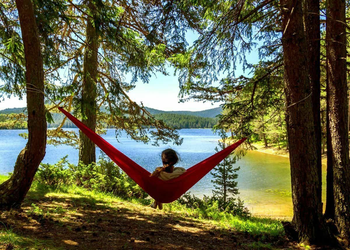 hammock in forest at lake