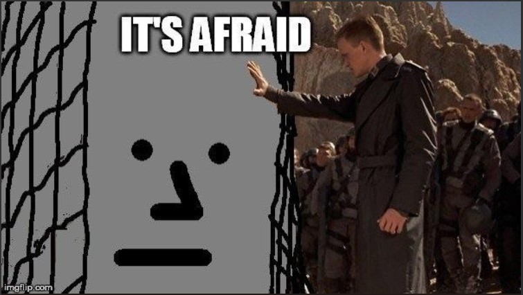 I m afraid it s