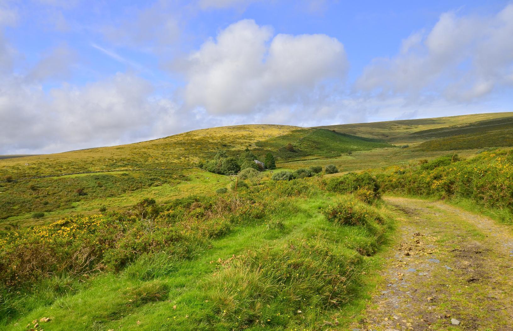 Looking back on the path from the forest