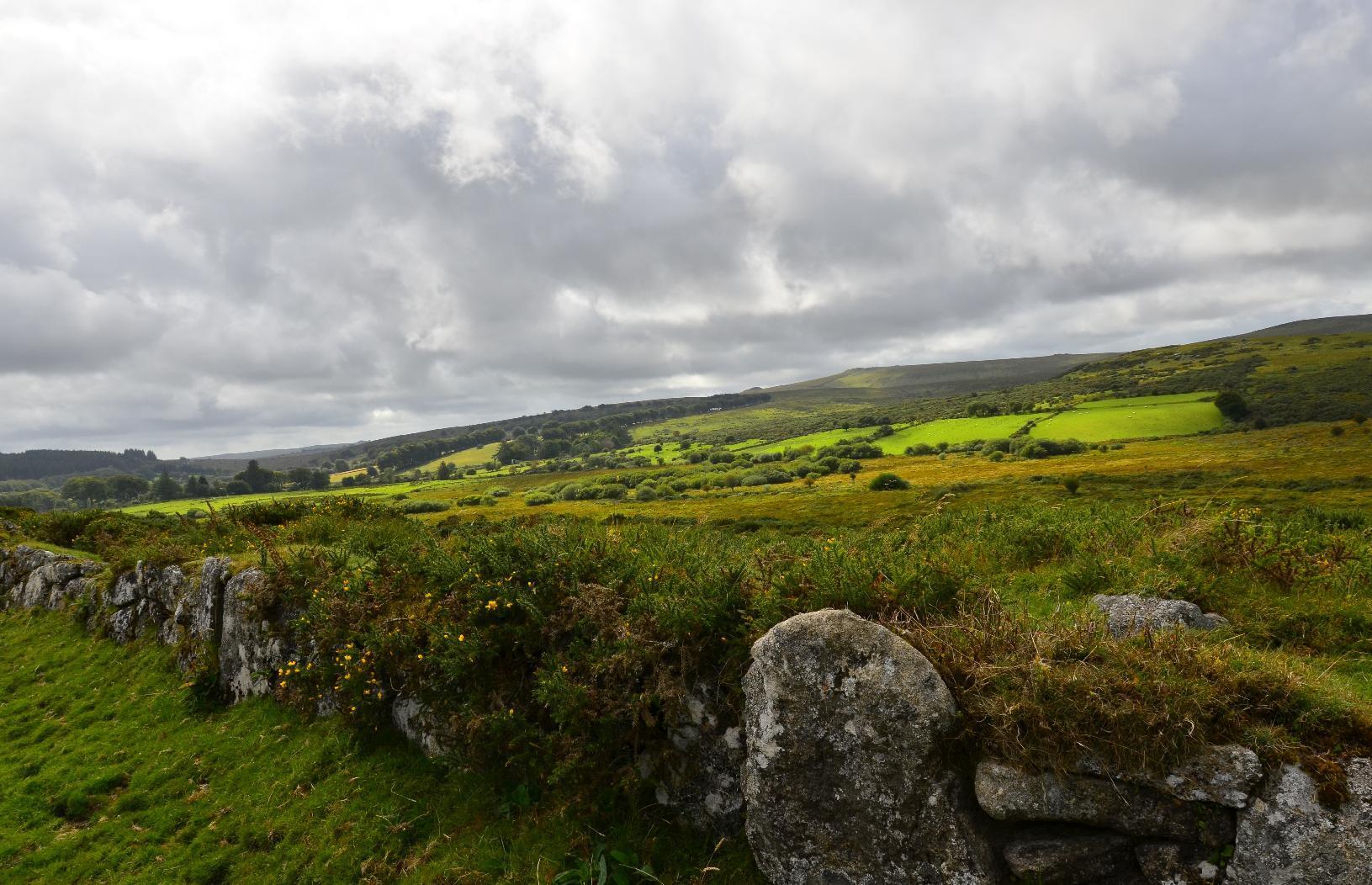 A panorama of Dartmoor