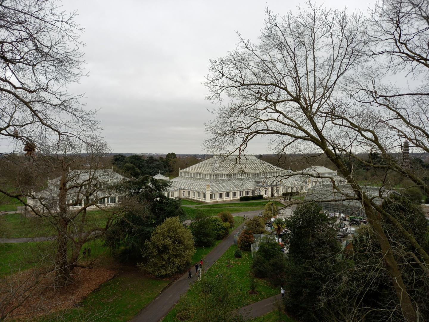 Temperate House seen from the walkway