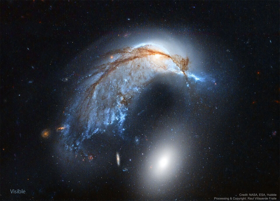 ARP 142 in visible light (Hubble)