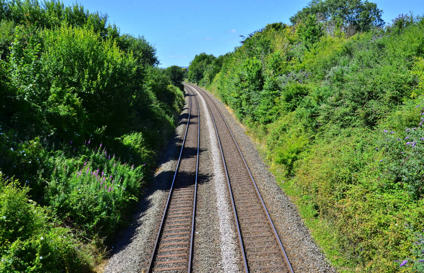 Double tracks curving to the left