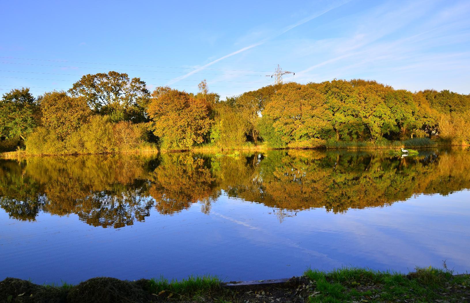 Panorama of trees reflecting in the Exeter canal