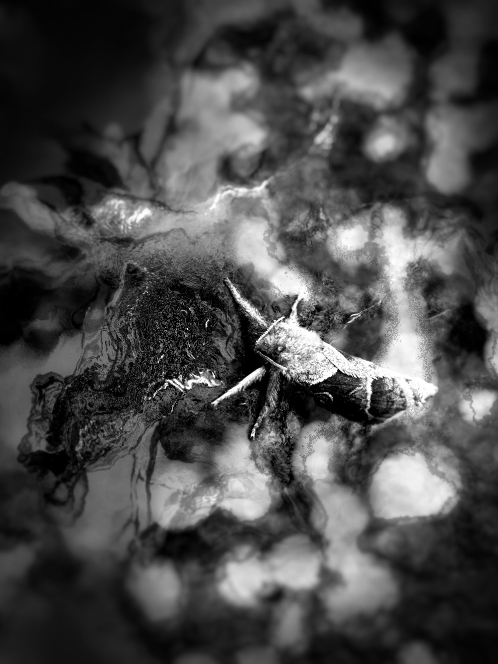 Bild/Foto