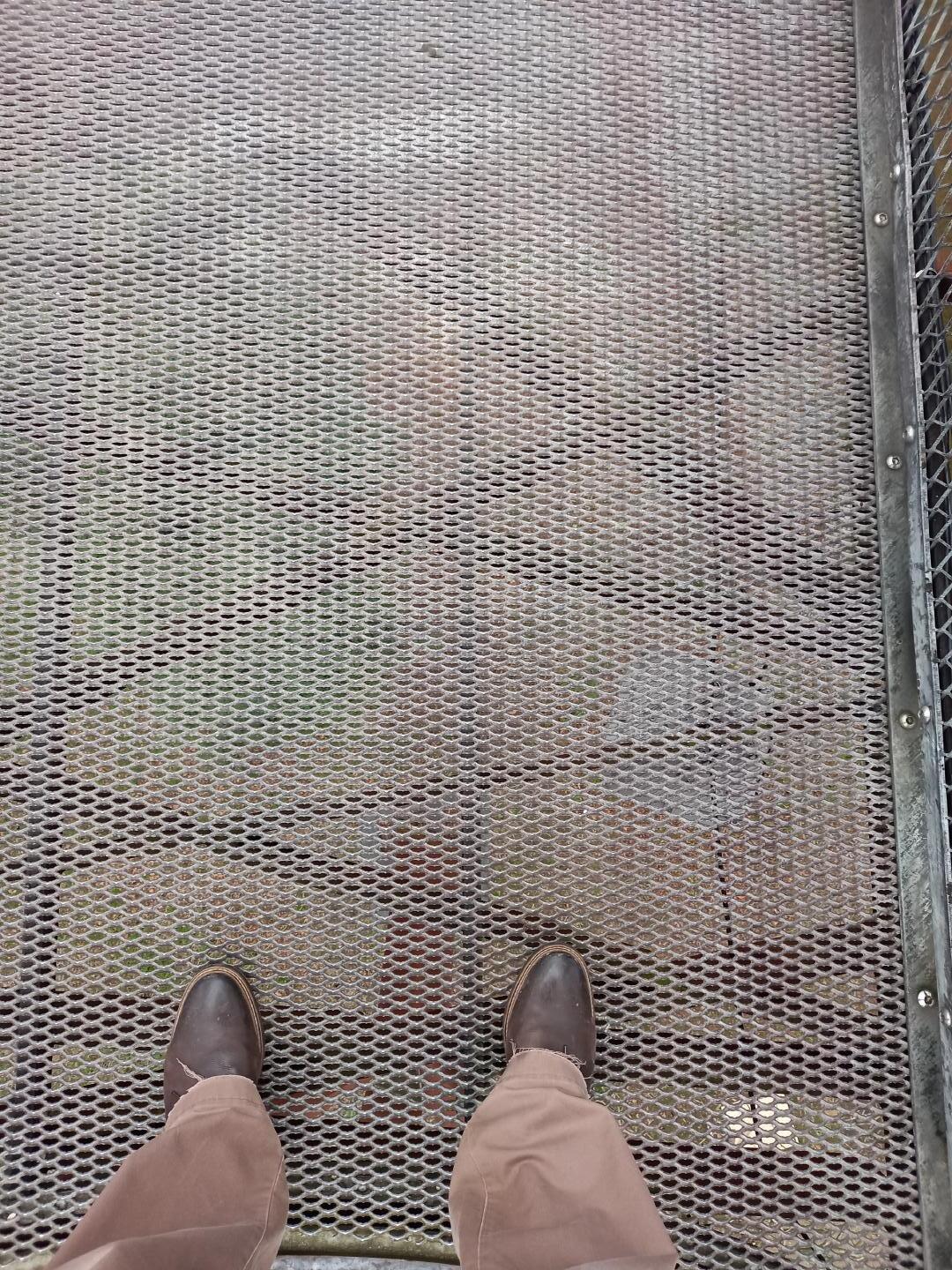 Looking down at the mesh walkway