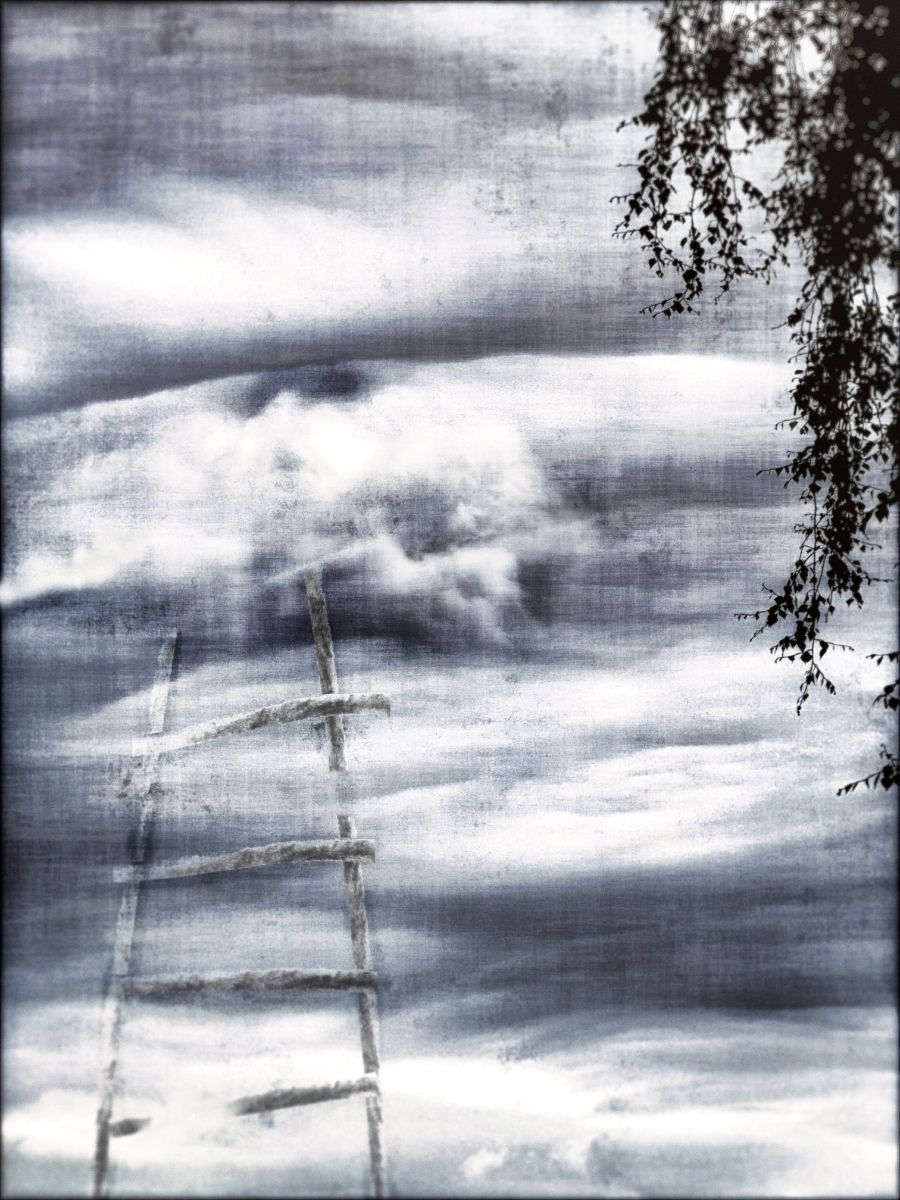 Bild/Foto