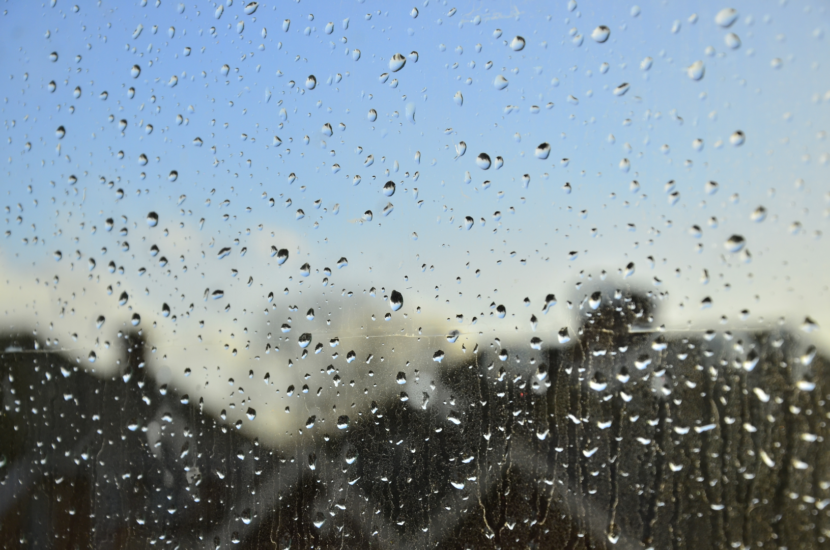 Water droplets on a window pane