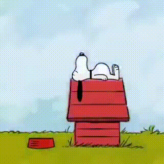 scaled_full_8e02e26752e4e04e6445.gif
