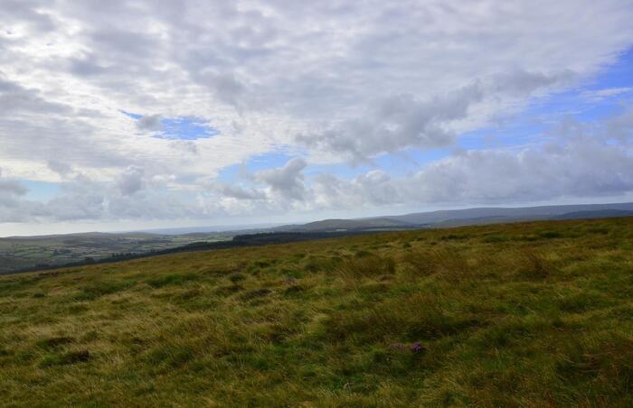 View looking south from the start of journey on Dartmoor