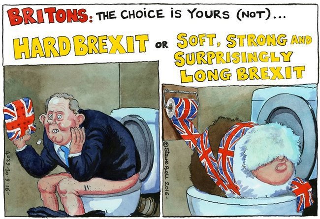 Image result for The Full Brexit cartoon